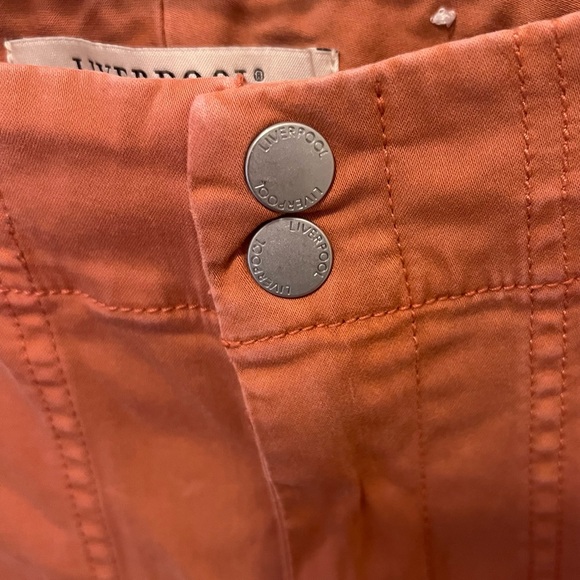 Liverpool Utility Cargo Crop Pants Terracotta - Picture 3 of 12